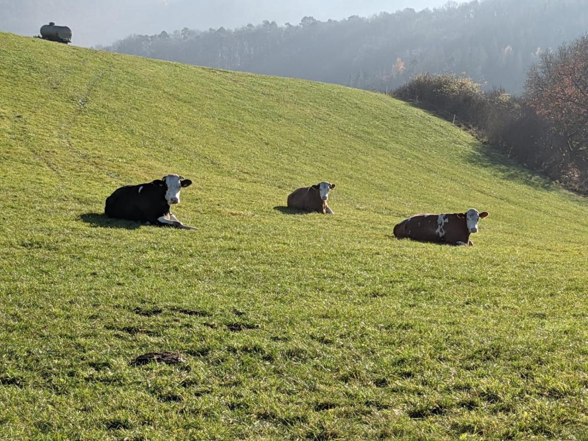 Ferienwohnungen Am Aeppelsberg Volkesfeld Exteriör bild